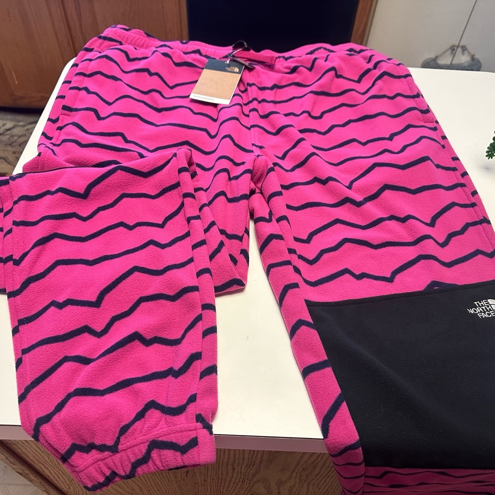The north face fleece pants